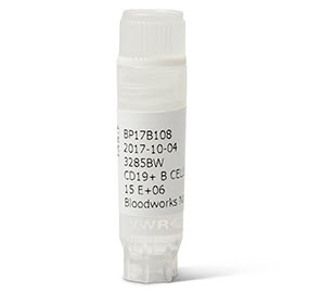 A white tube with a white label on it, containing B Cells.